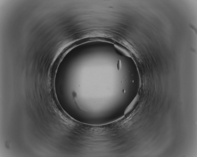 X0000091911116200709121512