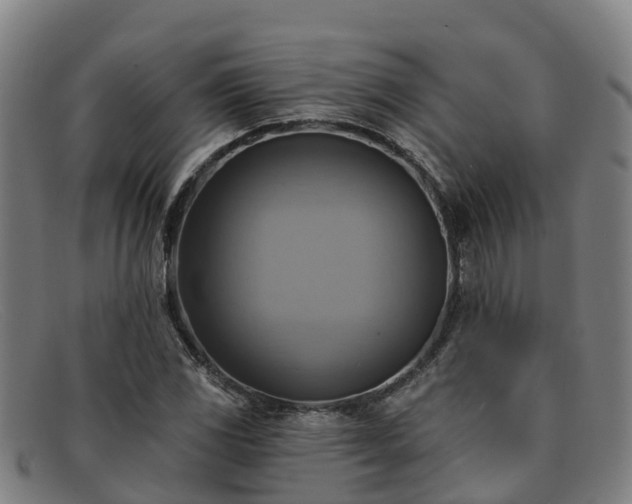 X0000091911117200709121512