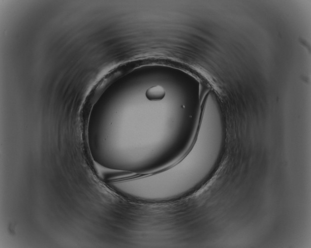 X0000091911118200709121512