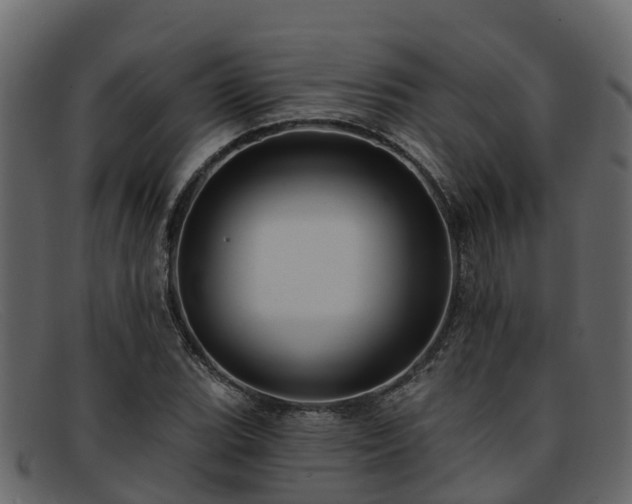 X0000091911119200709121512