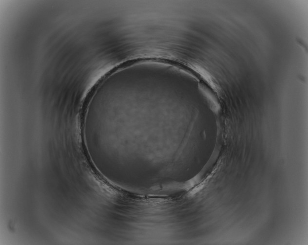 X0000091911120200709121512