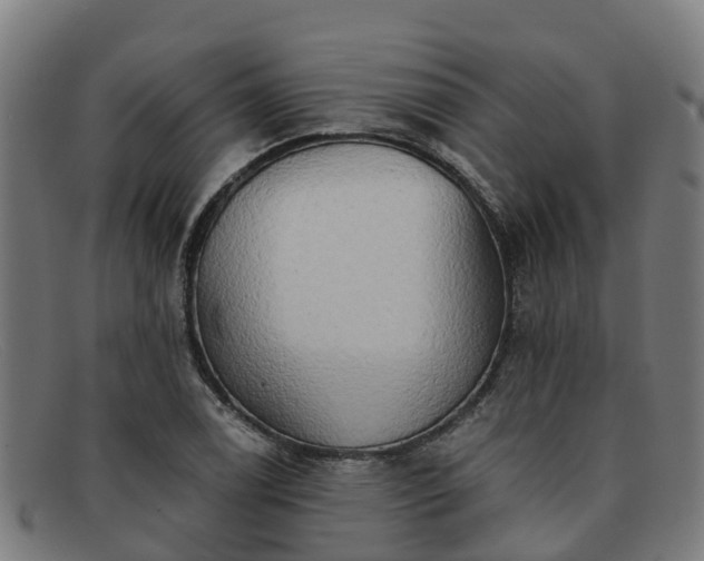 X0000091911122200709121512