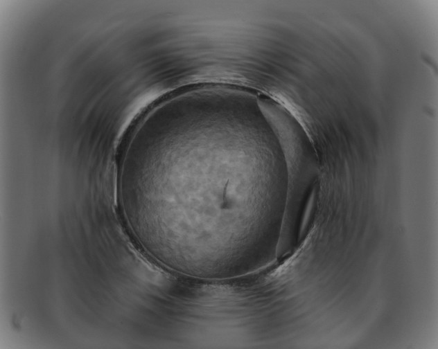 X0000091911123200709121512