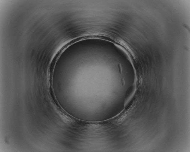 X0000091911124200709121512