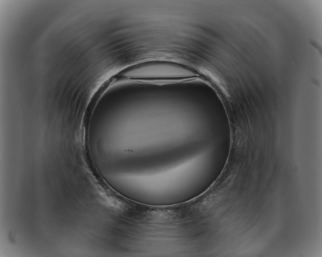 X0000091911125200709121512