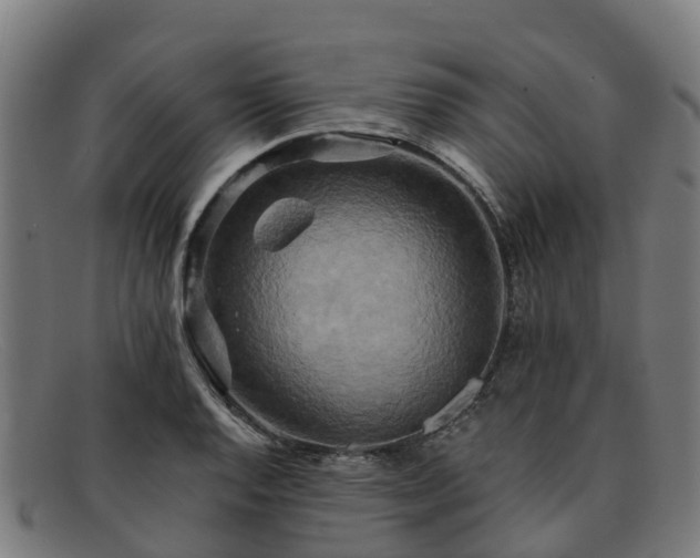 X0000091911128200709121512