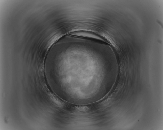 X0000091911129200709121512