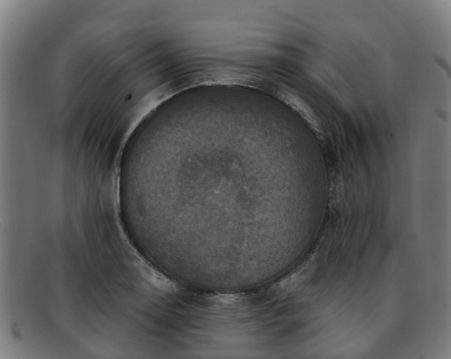 X0000091911130200709121512