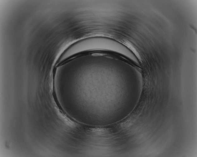 X0000091911132200709121512