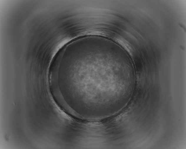 X0000091911133200709121512