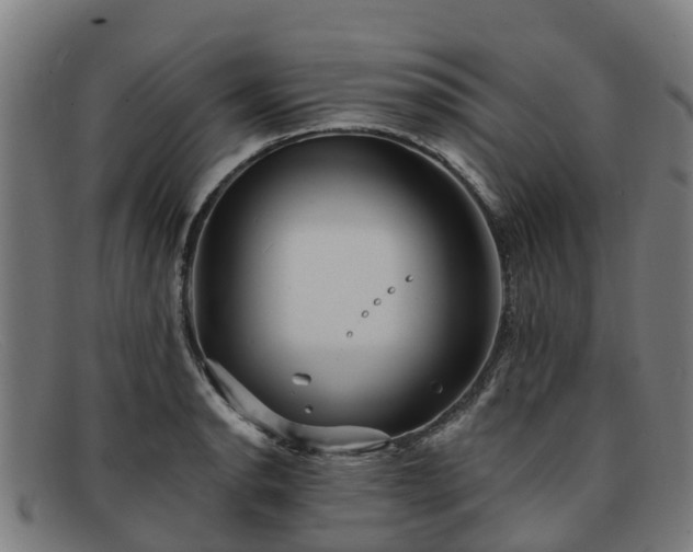 X0000091911134200709121512