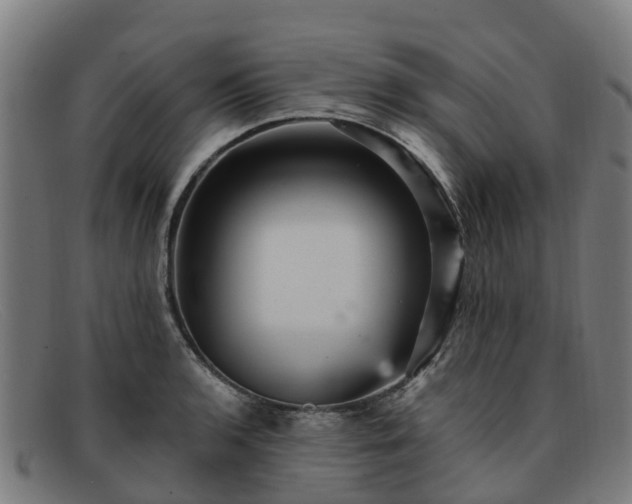 X0000091911136200709121512