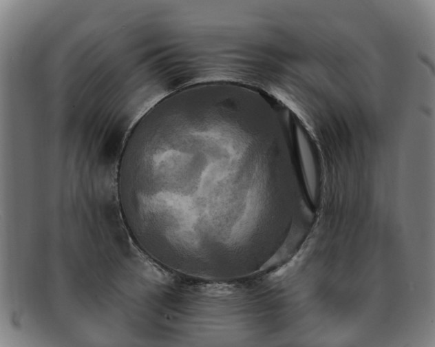 X0000091911137200709121512