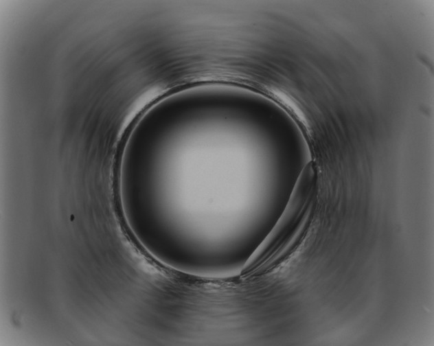 X0000091911138200709121512