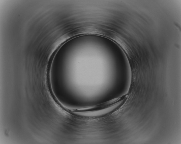 X0000091911139200709121512