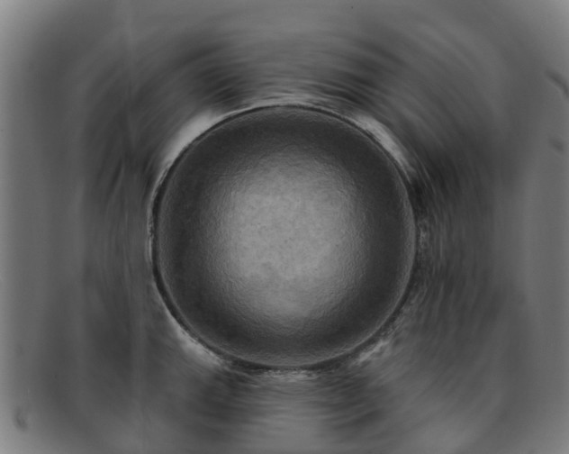 X0000091911143200709121512