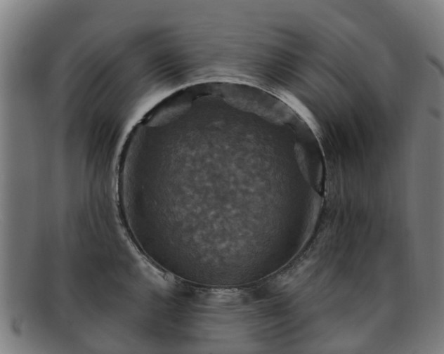 X0000091911144200709121512