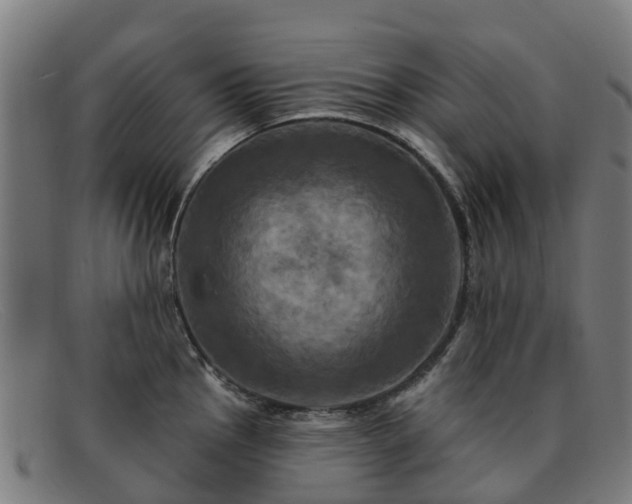 X0000091911145200709121512