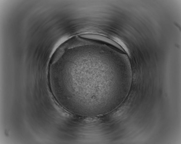 X0000091911146200709121512