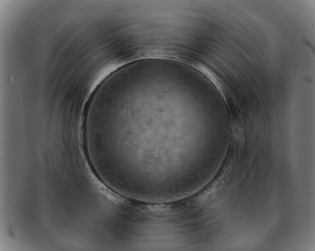 X0000091911147200709121512