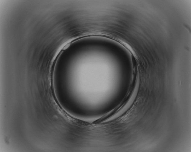 X0000091911148200709121512