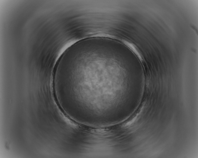 X0000091911149200709121512