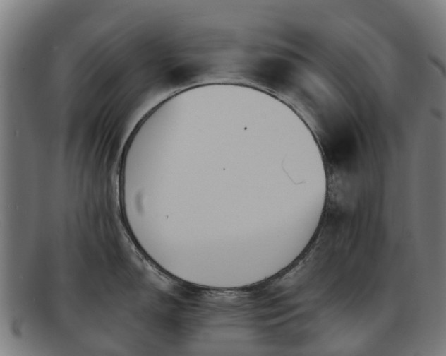 X0000091911150200709121512