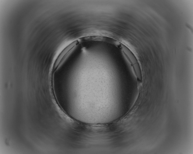 X0000091911152200709121512