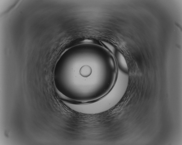 X0000091911153200709121512