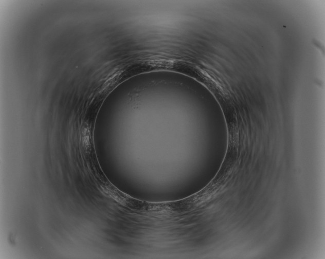 X0000091911154200709121512