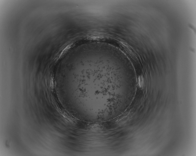 X0000091911155200709121512