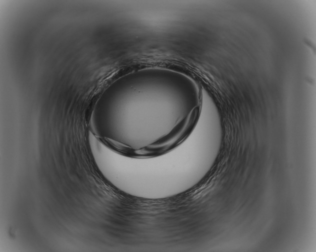 X0000091911156200709121512