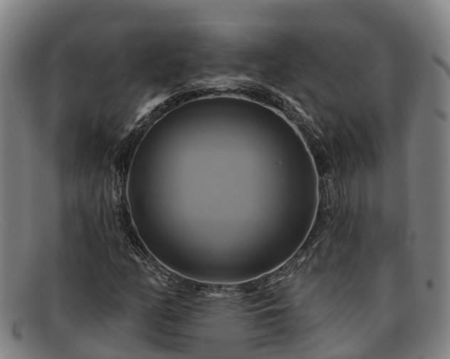 X0000091911158200709121512