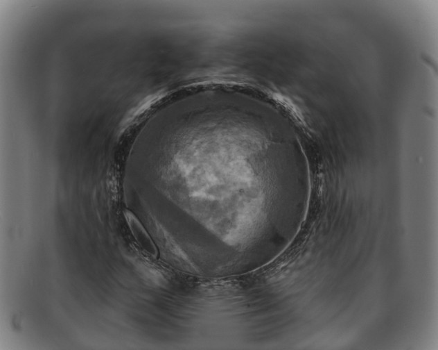 X0000091911159200709121512