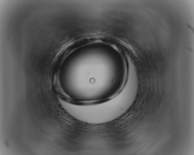 X0000091911160200709121512