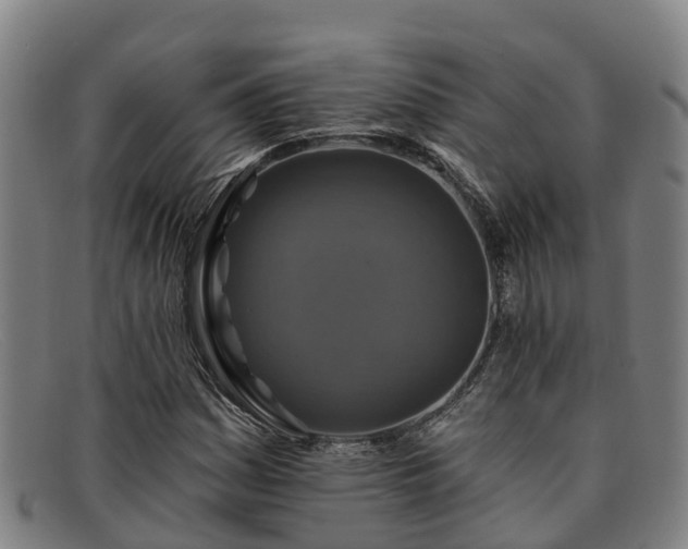 X0000091911161200709121512