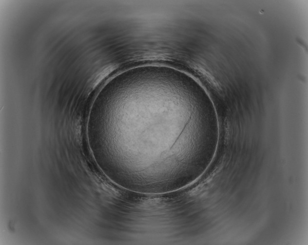 X0000091911162200709121512