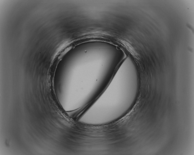 X0000091911164200709121512