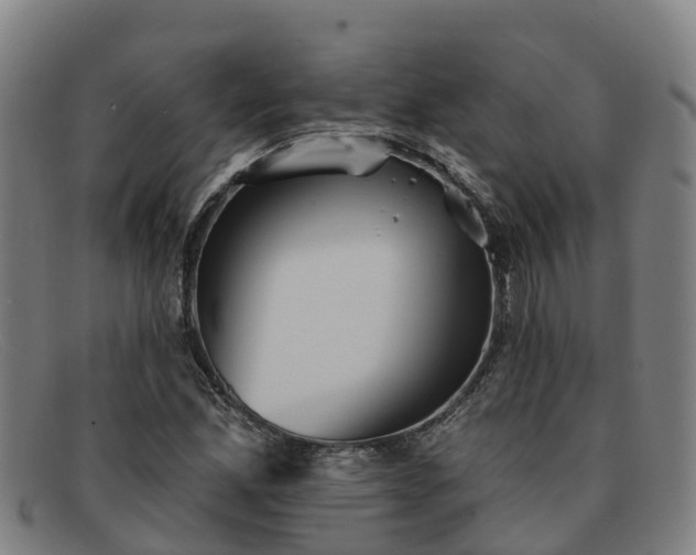 X0000091911165200709121512