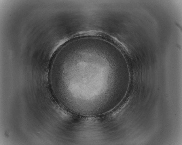 X0000091911166200709121512