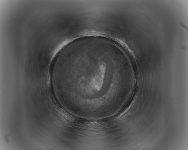 X0000091911167200709121512