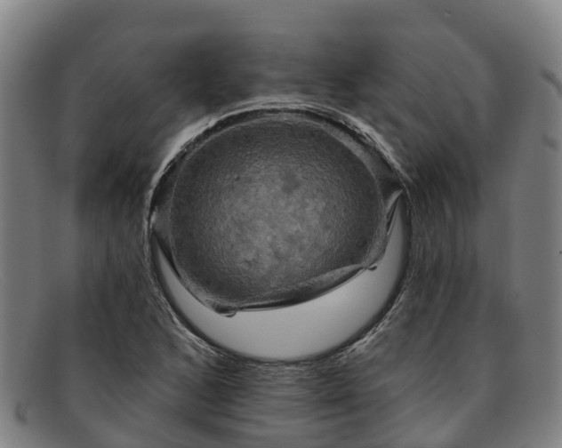 X0000091911168200709121512