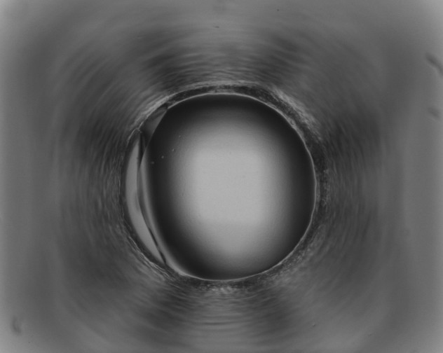 X0000091911169200709121512