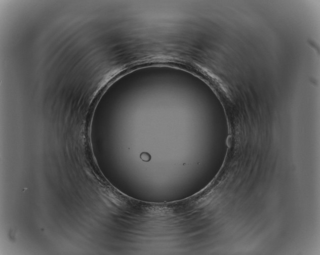 X0000091911170200709121512