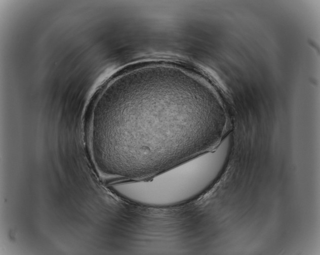 X0000091911172200709121512