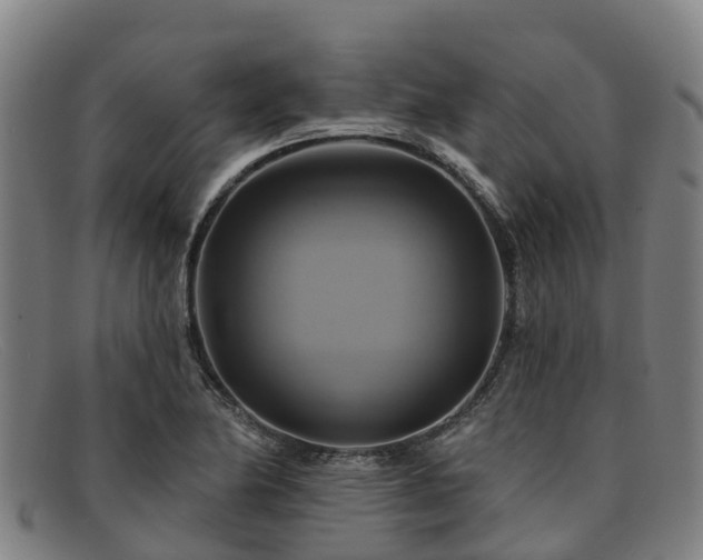 X0000091911174200709121512