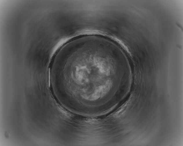 X0000091911175200709121512