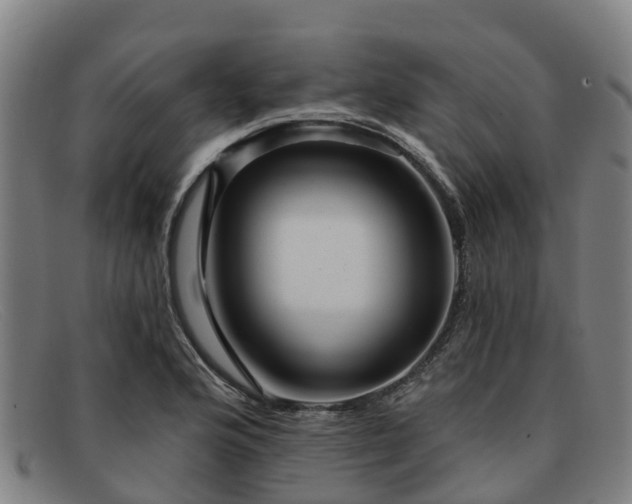 X0000091911176200709121512