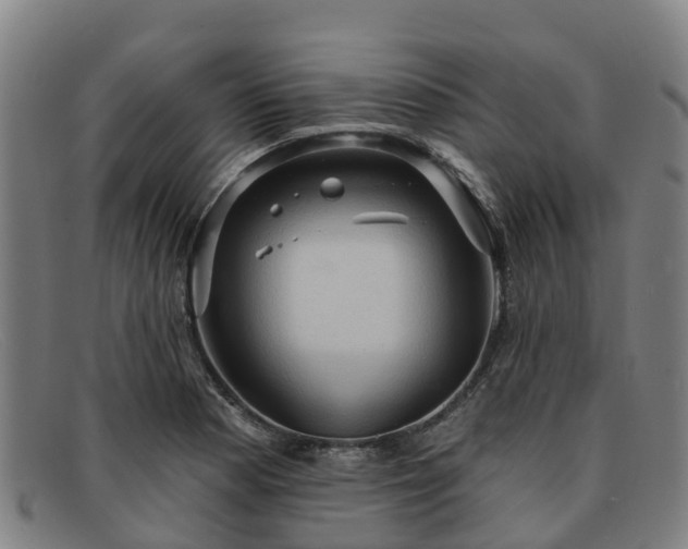 X0000091911177200709121512