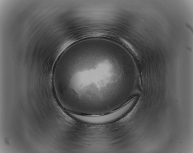 X0000091911178200709121512